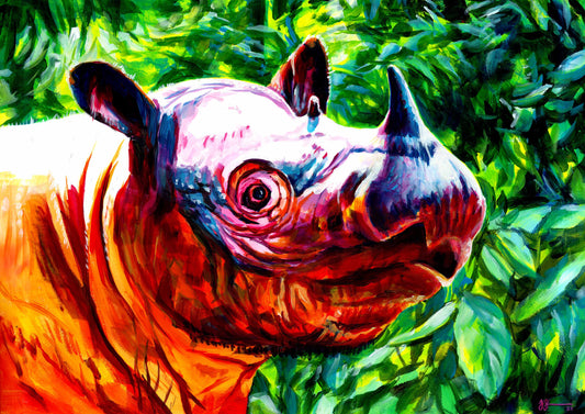 ORIGINAL - Sumatran Rhinoceros